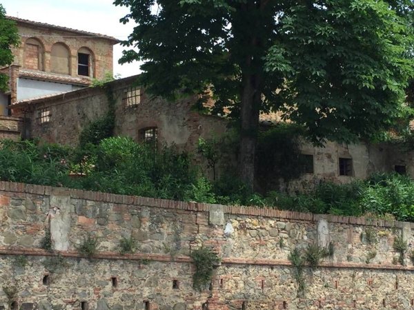 appartamento in vendita a Terricciola