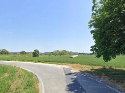terreno agricolo in vendita a Terricciola
