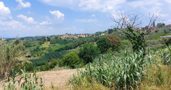 casa indipendente in vendita a Terricciola in zona Soianella