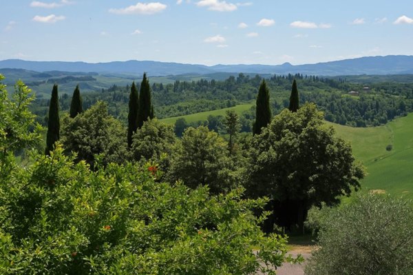 casa indipendente in vendita a Terricciola