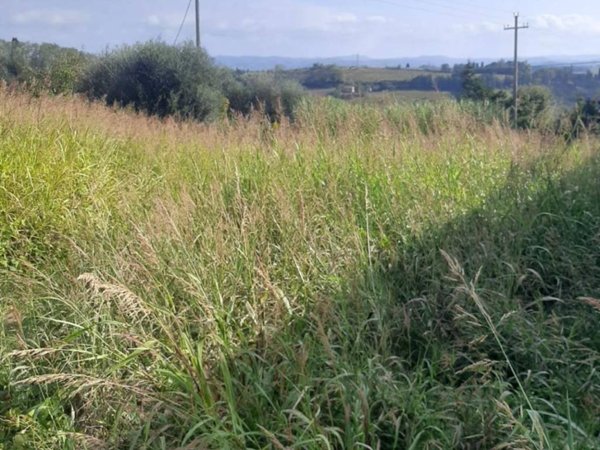 terreno edificabile in vendita a Terricciola in zona Chientina