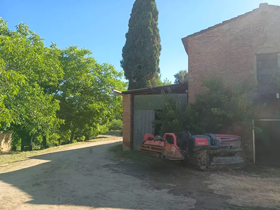 appartamento in vendita a Terricciola