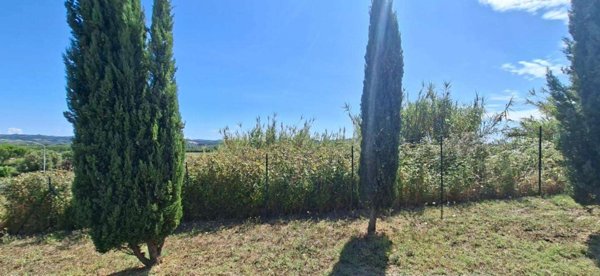 terreno edificabile in vendita a Terricciola in zona Selvatelle