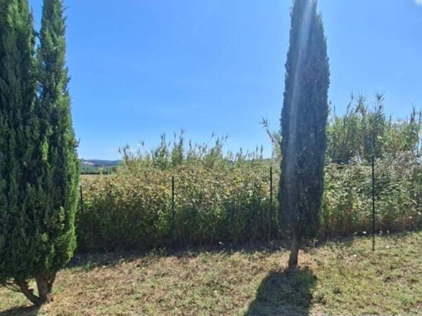 terreno edificabile in vendita a Terricciola in zona Selvatelle