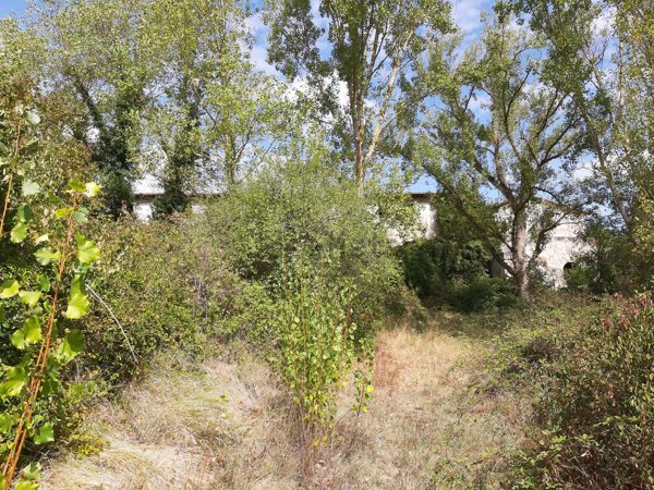 casale in vendita a Terricciola