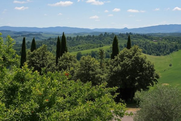 casa indipendente in vendita a Terricciola