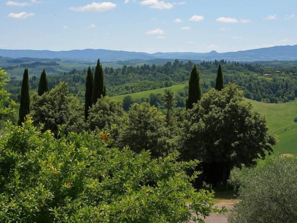 casa indipendente in vendita a Terricciola