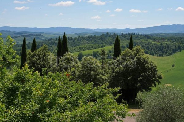 casa indipendente in vendita a Terricciola