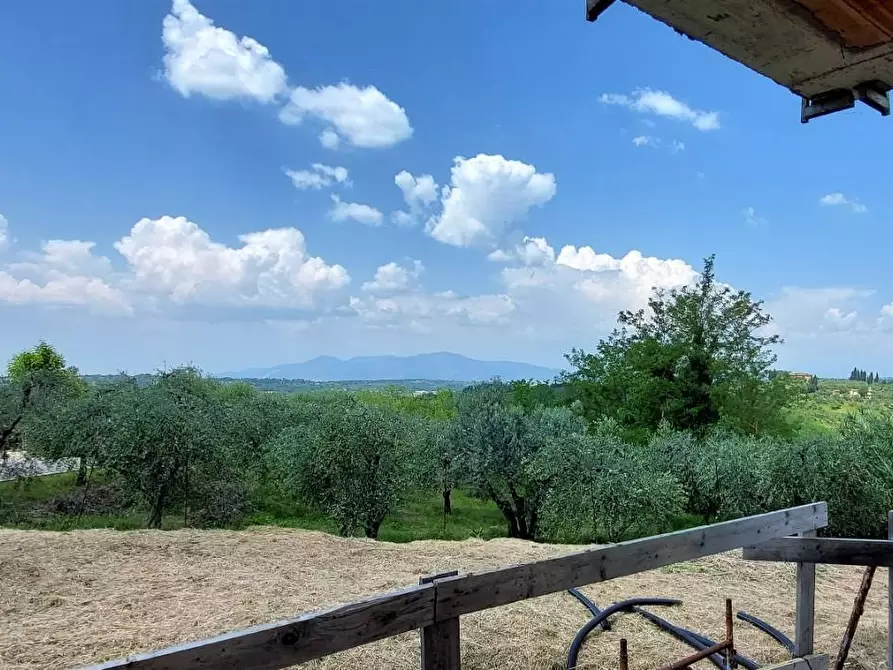 casa indipendente in vendita a Terricciola in zona Soianella