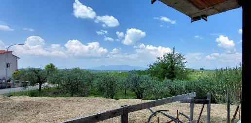 casa indipendente in vendita a Terricciola in zona Soianella