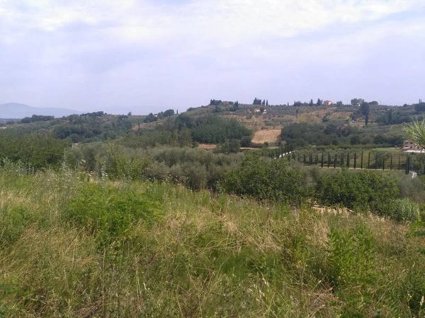 terreno agricolo in vendita a Terricciola