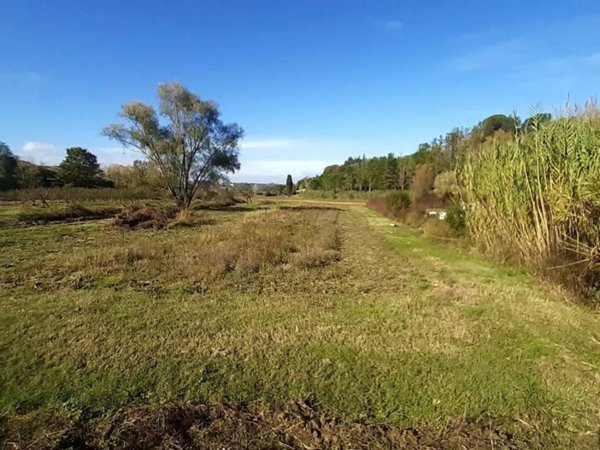 terreno agricolo in vendita a Terricciola