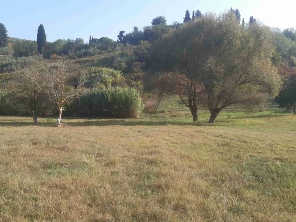 terreno agricolo in vendita a Terricciola in zona Soianella