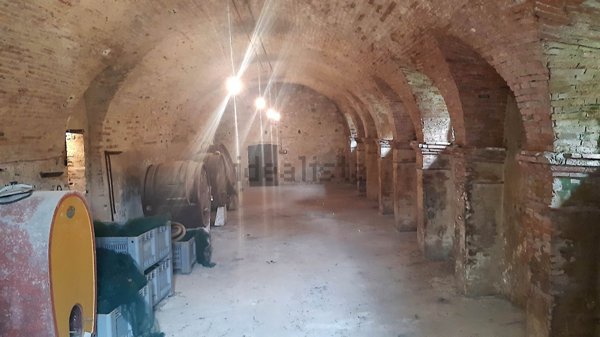 locale di sgombero in vendita a Terricciola