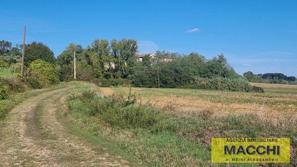 casale in vendita a Terricciola