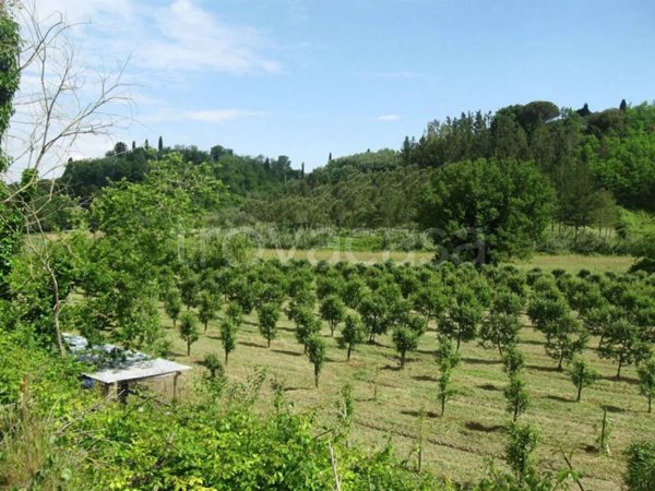 terreno agricolo in vendita a Terricciola in zona Soiana