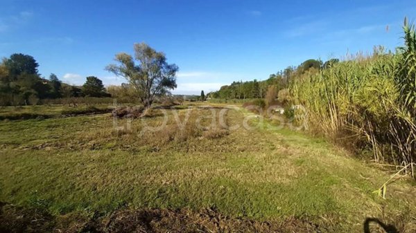 azienda agricola in vendita a Terricciola