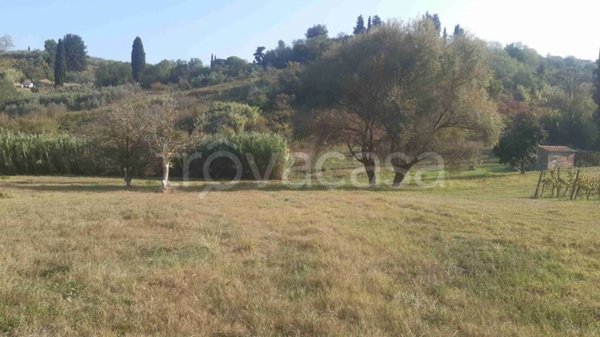 terreno agricolo in vendita a Terricciola