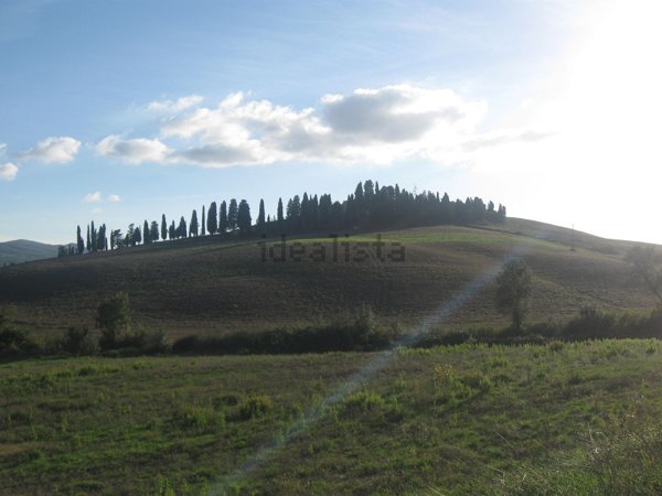 azienda agricola in vendita a Terricciola