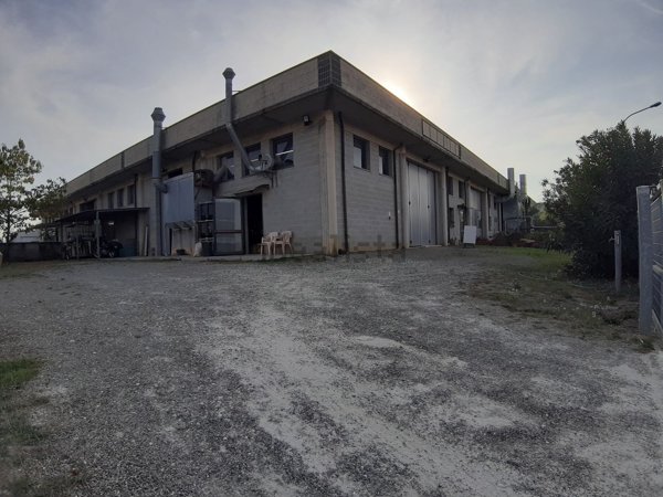 capannone in vendita a Terricciola