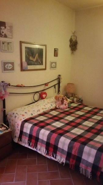 appartamento in vendita a Terricciola