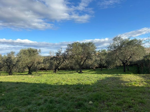 terreno edificabile in vendita a Terricciola in zona Selvatelle