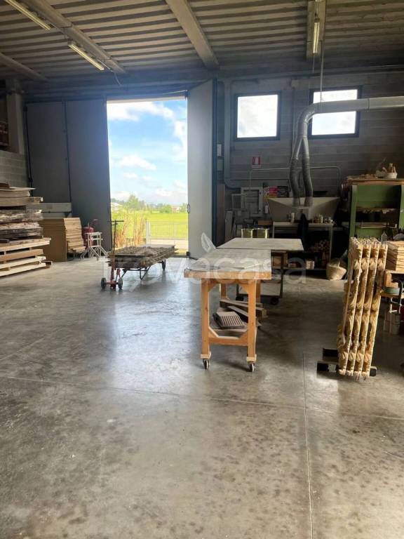 appartamento in vendita a Terricciola in zona La Rosa