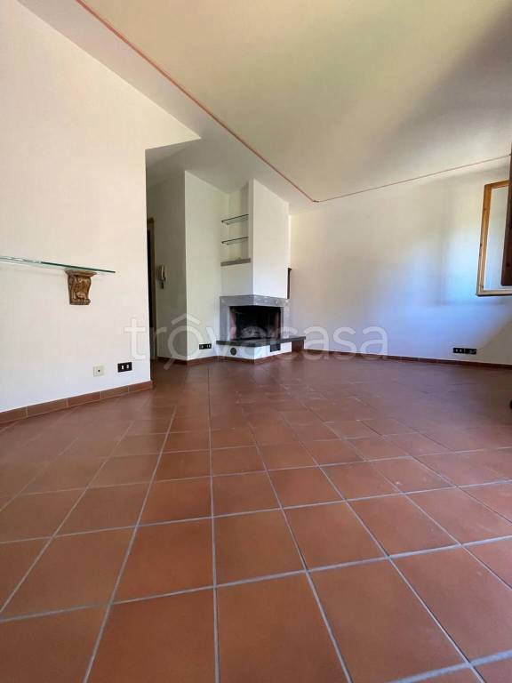 casa indipendente in vendita a Terricciola in zona Selvatelle