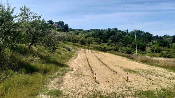 terreno agricolo in vendita a Terricciola