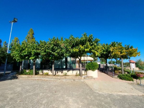 negozio in vendita a Terricciola