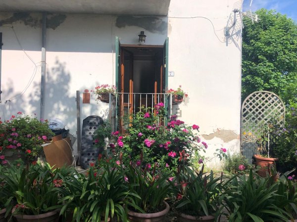 appartamento in vendita a Terricciola