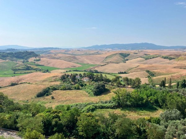 appartamento in vendita a Terricciola