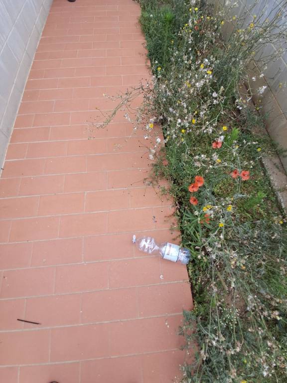 appartamento in vendita a Terricciola in zona La Rosa