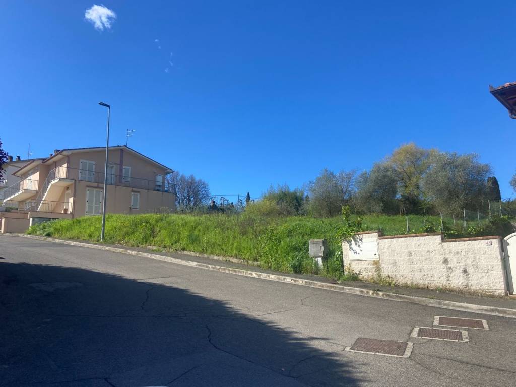 terreno agricolo in vendita a Terricciola in zona Selvatelle