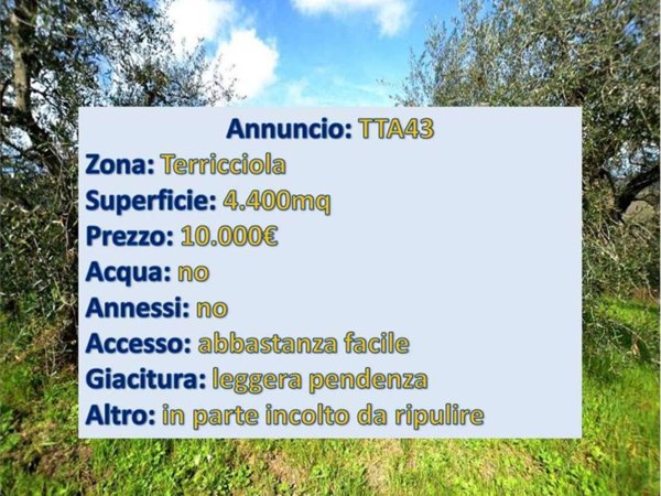 terreno agricolo in vendita a Terricciola