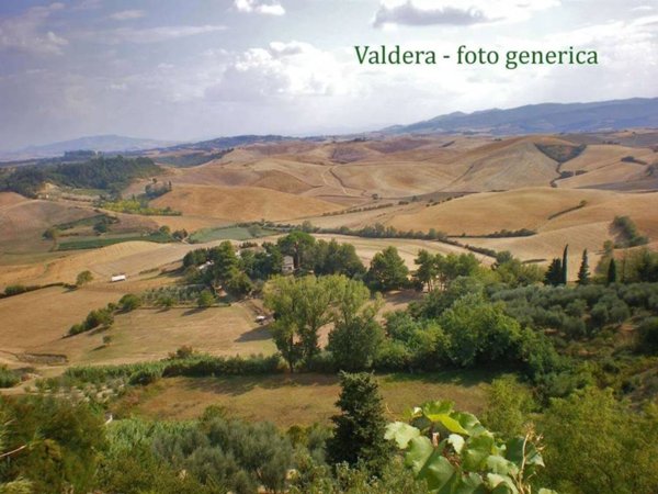 terreno agricolo in vendita a Terricciola