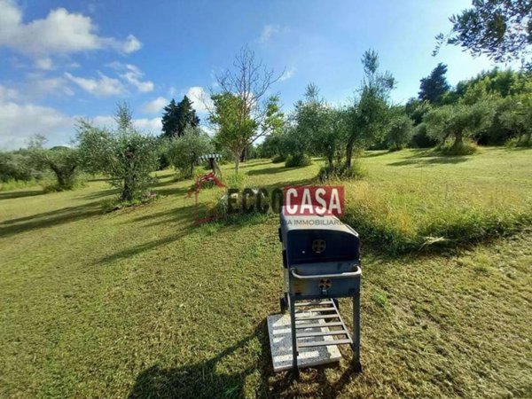 terreno agricolo in vendita a Terricciola