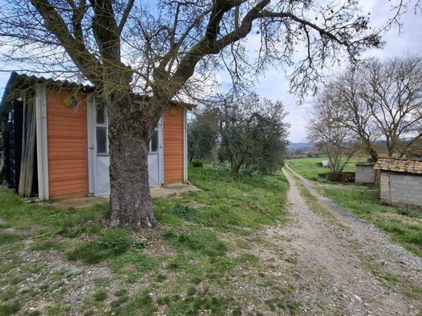 terreno agricolo in vendita a Terricciola in zona Selvatelle