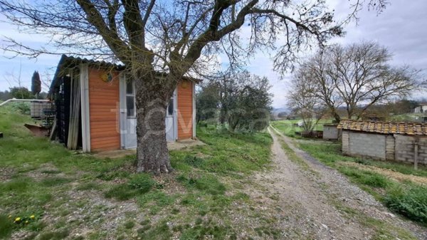 terreno agricolo in vendita a Terricciola in zona Selvatelle