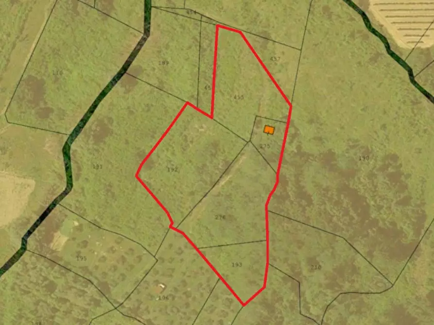 terreno agricolo in vendita a Terricciola