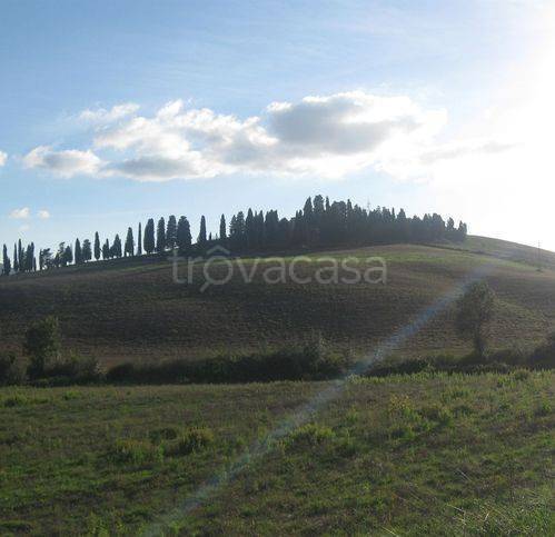 negozio in vendita a Terricciola