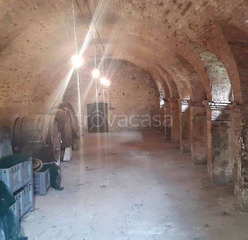 negozio in vendita a Terricciola