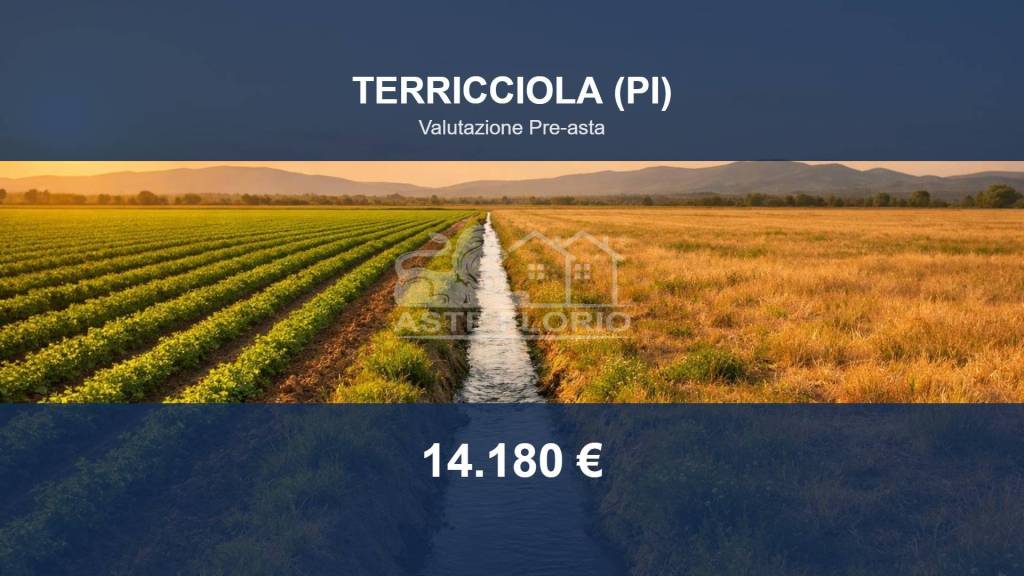 azienda agricola in vendita a Terricciola