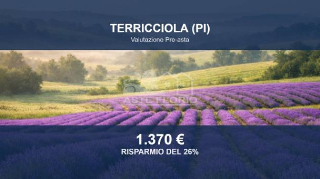 terreno agricolo in vendita a Terricciola
