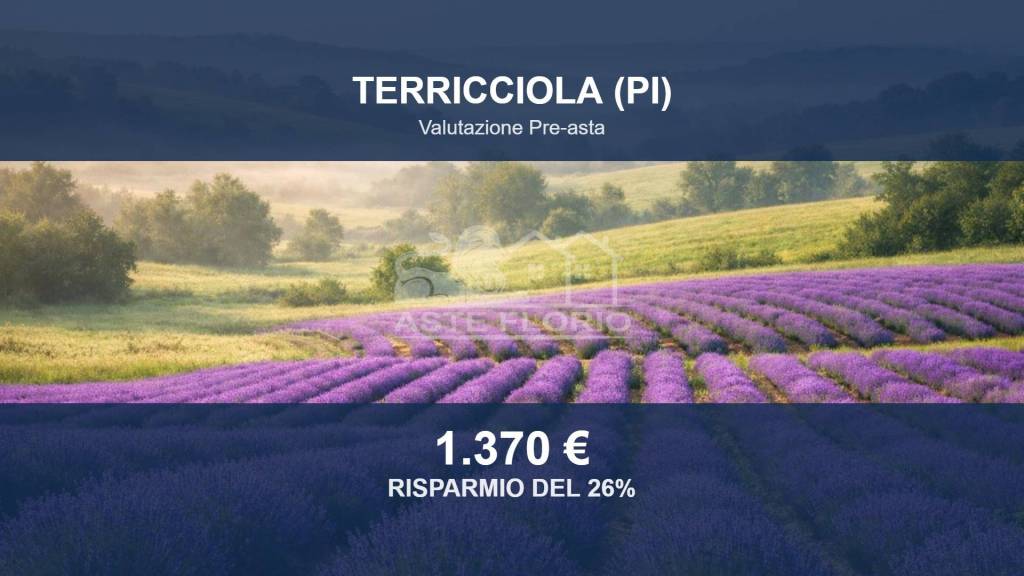 terreno agricolo in vendita a Terricciola