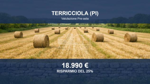 azienda agricola in vendita a Terricciola