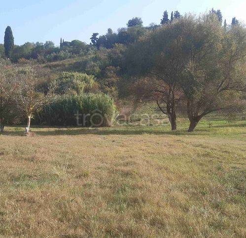 terreno agricolo in vendita a Terricciola