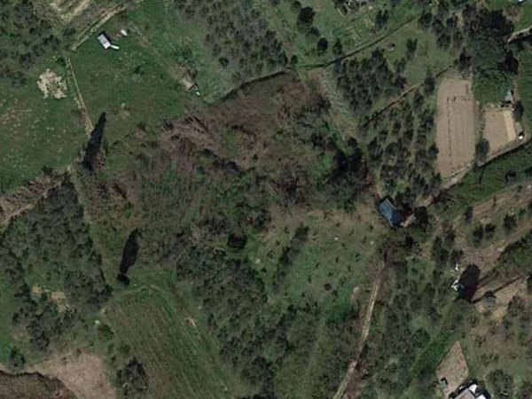 terreno agricolo in vendita a Terricciola in zona Chientina