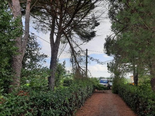 casa indipendente in vendita a Terricciola in zona La Rosa