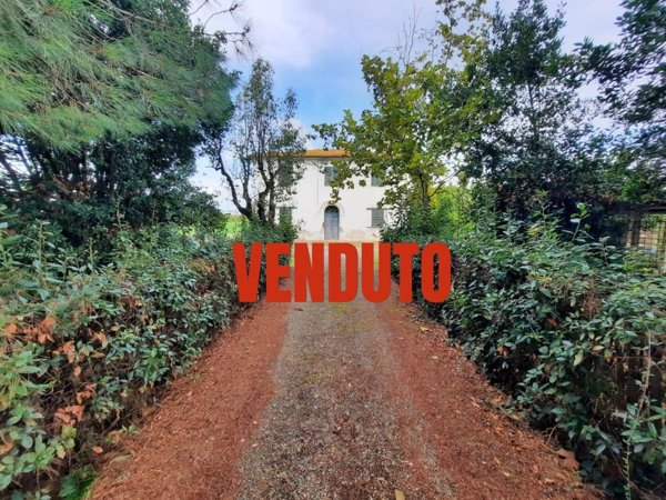 casa indipendente in vendita a Terricciola in zona La Rosa